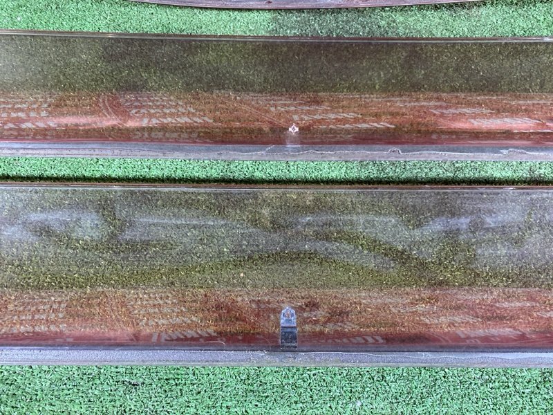 Ветровик, 1000 рублей, Солонцы