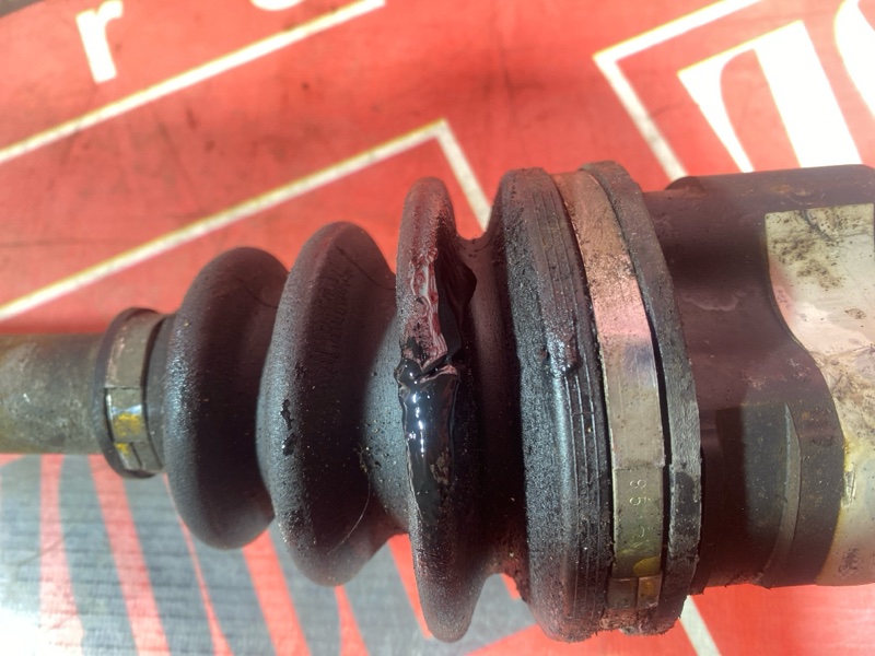 Привод, 1800 рублей, Солонцы