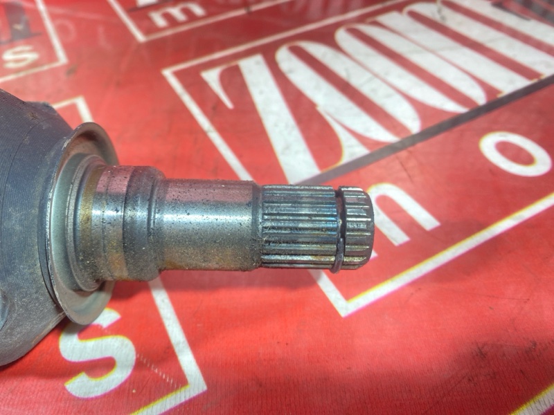 Привод, 7000 рублей, Солонцы