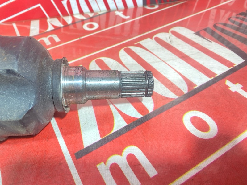 Привод, 8000 рублей, Солонцы