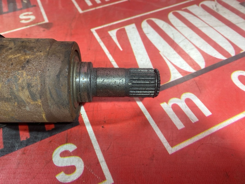 Привод, 1800 рублей, Солонцы