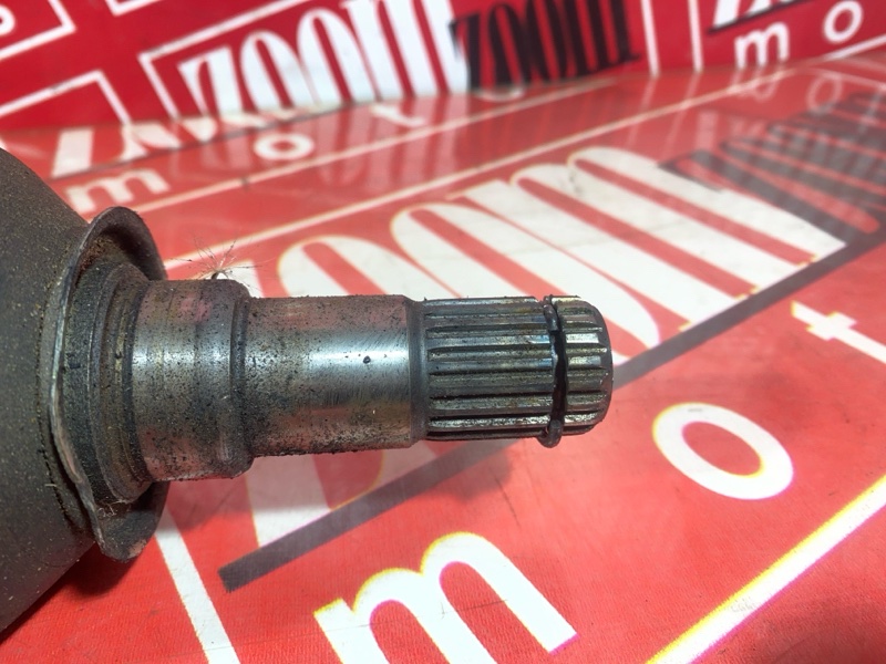 Привод, 6000 рублей, Солонцы