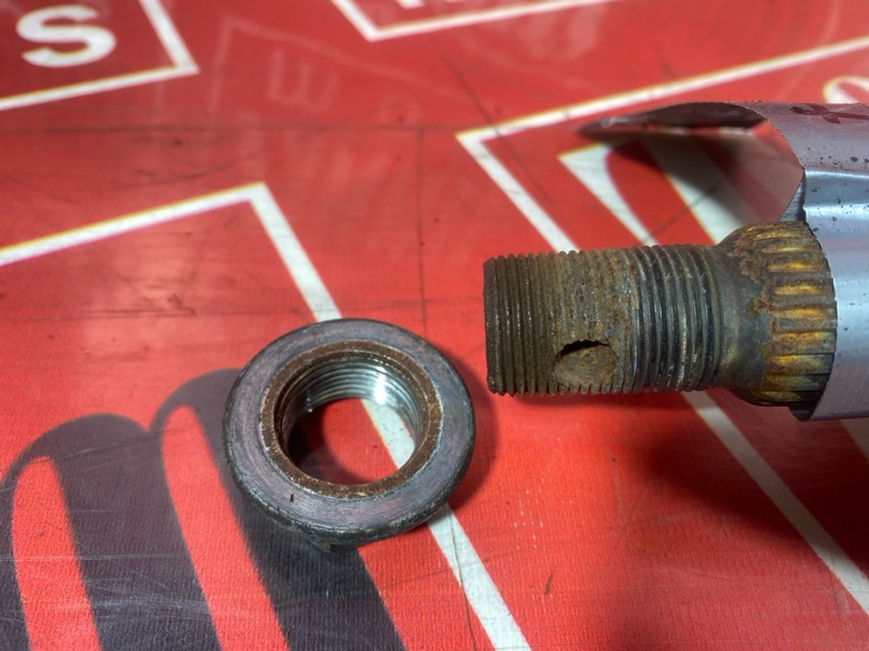 Привод, 6000 рублей, Солонцы