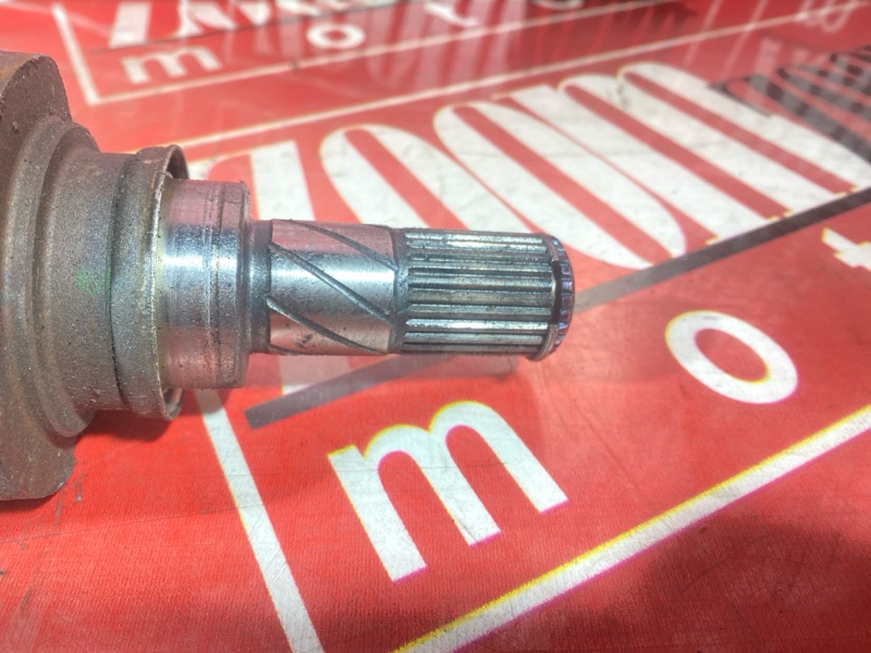 Привод, 2500 рублей, Солонцы