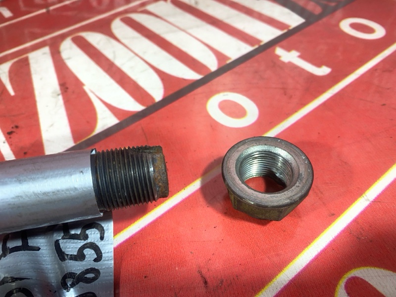 Привод, 3500 рублей, Солонцы