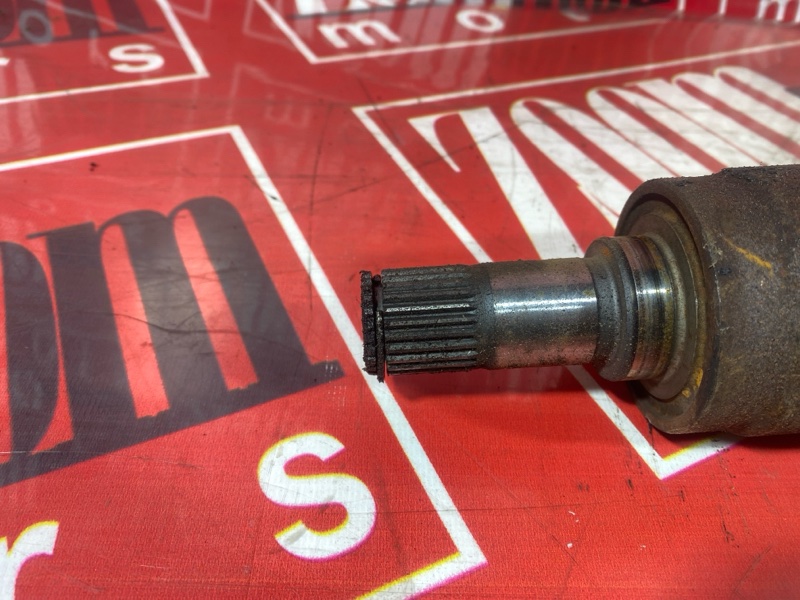 Привод, 3500 рублей, Солонцы