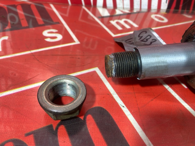 Привод, 1200 рублей, Солонцы