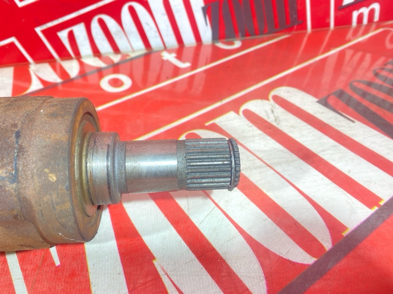 Привод, 1200 рублей, Солонцы