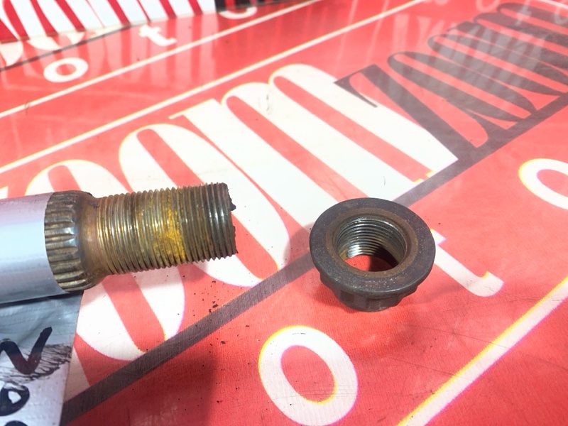 Привод, 4000 рублей, Солонцы