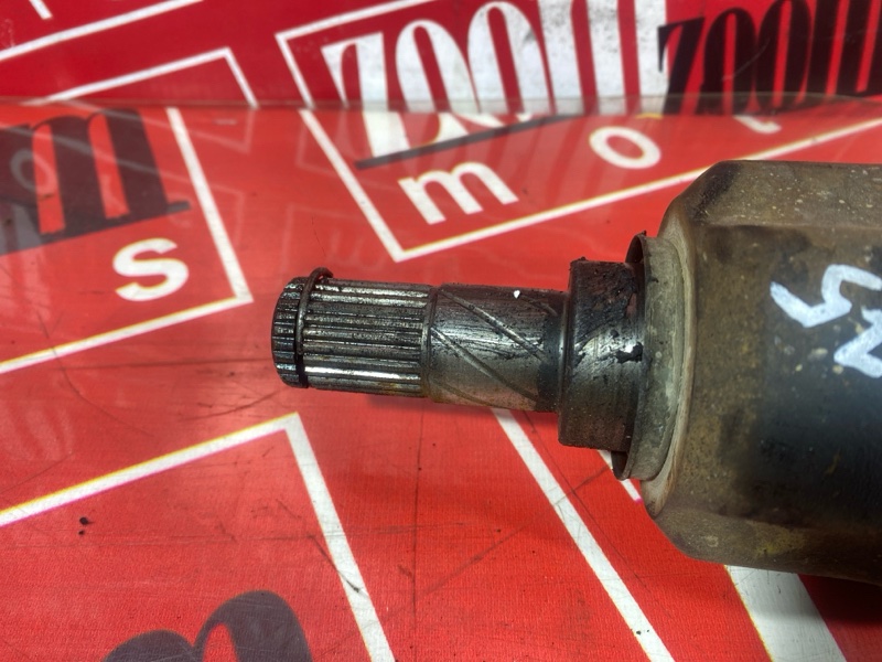 Привод, 4500 рублей, Солонцы