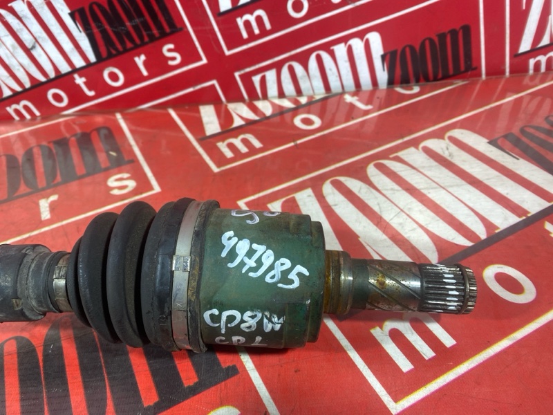 Привод, 2500 рублей, Солонцы