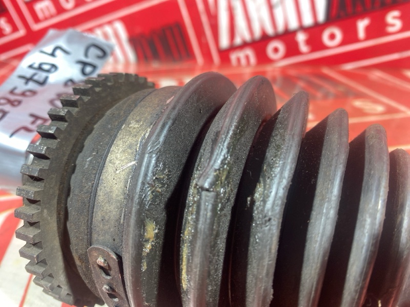 Привод, 2500 рублей, Солонцы