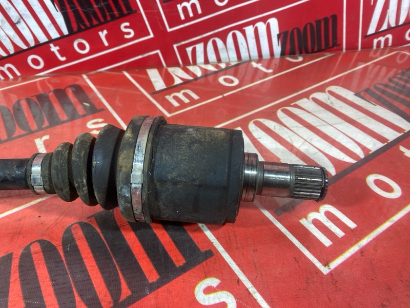 Привод, 8000 рублей, Солонцы