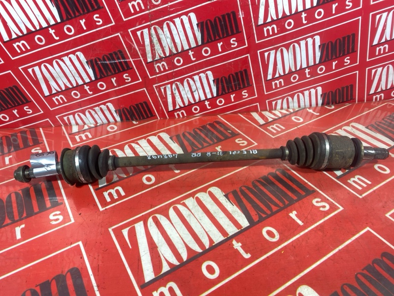 Привод, 1000 рублей, Солонцы