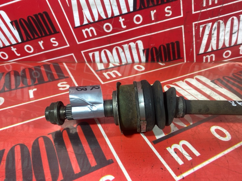 Привод, 1000 рублей, Солонцы