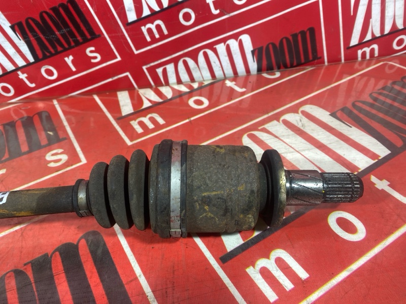 Привод, 1000 рублей, Солонцы