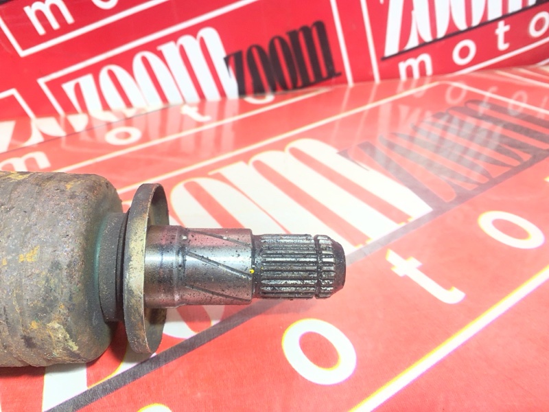 Привод, 1000 рублей, Солонцы