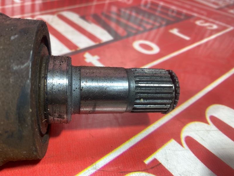 Привод, 1200 рублей, Солонцы