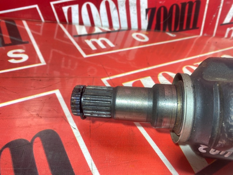 Привод, 4000 рублей, Солонцы