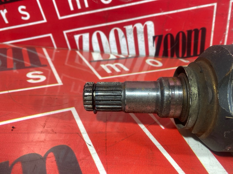 Привод, 6000 рублей, Солонцы