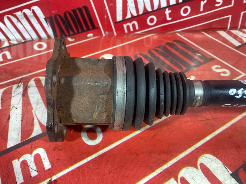 Привод, 6000 рублей, Солонцы