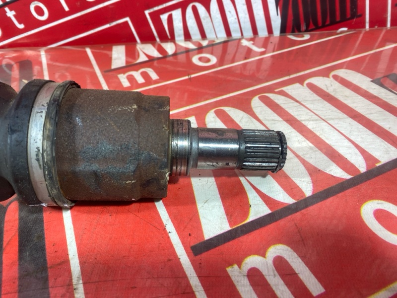 Привод, 3500 рублей, Солонцы