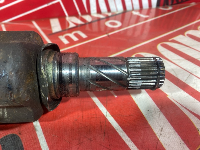 Привод, 1500 рублей, Солонцы