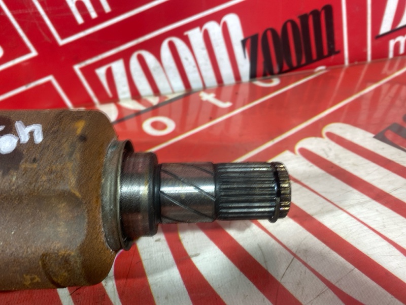 Привод, 10000 рублей, Солонцы