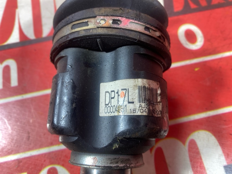 Привод, 5000 рублей, Солонцы