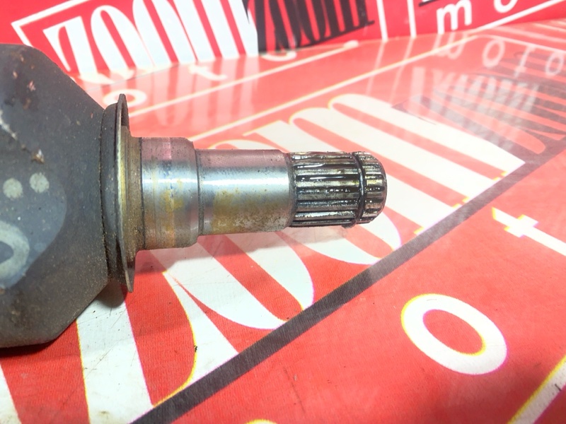 Привод, 4500 рублей, Солонцы