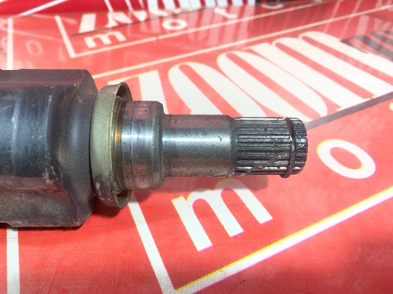 Привод, 1800 рублей, Солонцы