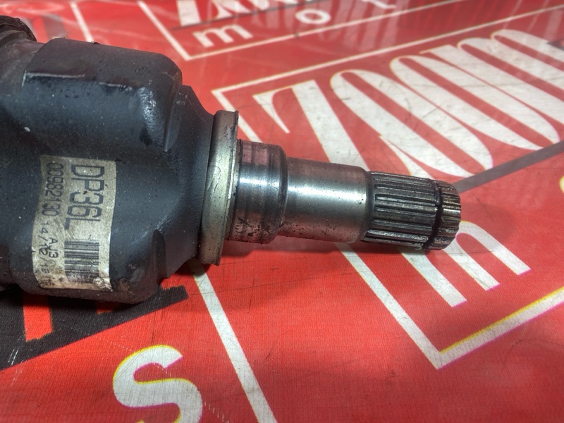 Привод, 4000 рублей, Солонцы