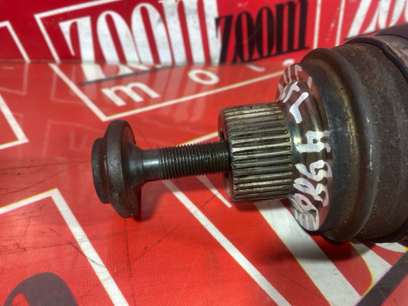 Привод, 6000 рублей, Солонцы