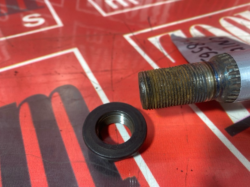 Привод, 6000 рублей, Солонцы