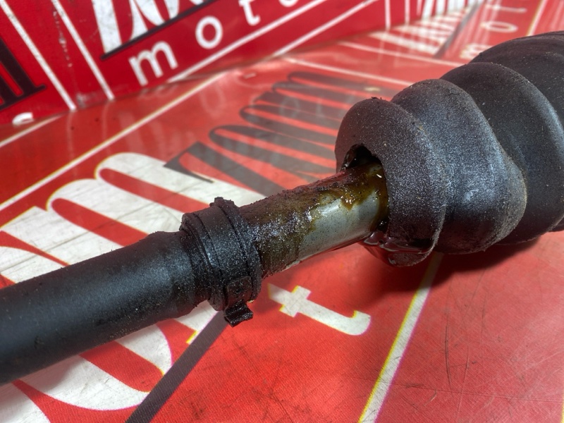 Привод, 11500 рублей, Солонцы