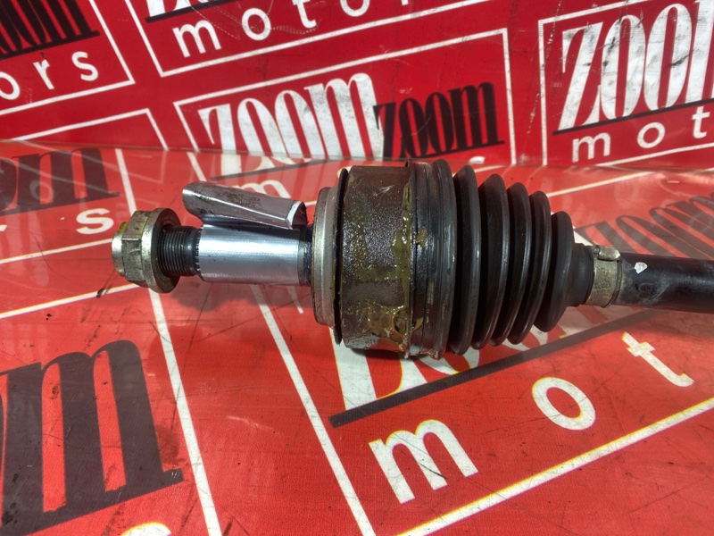 Привод, 7000 рублей, Солонцы