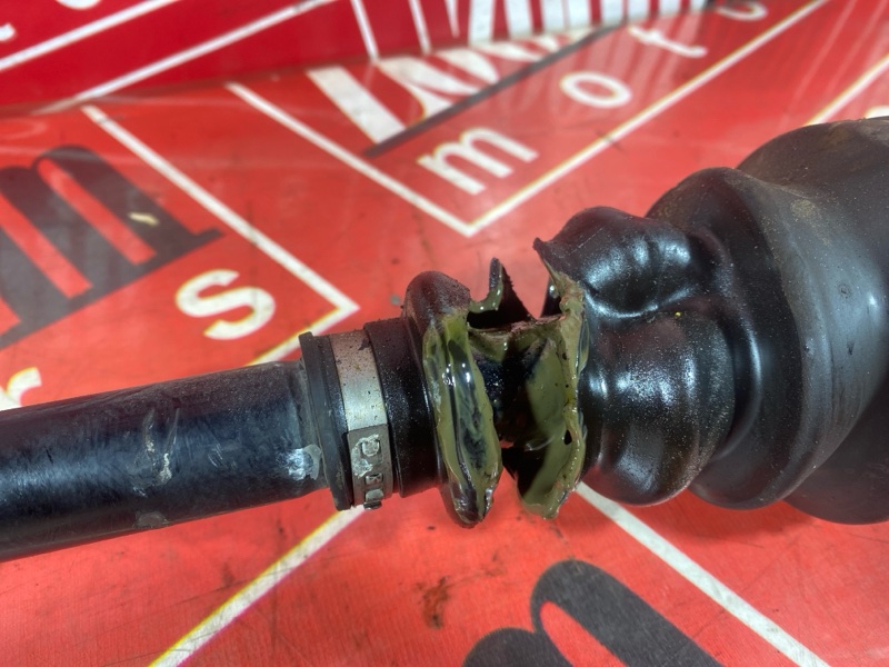 Привод, 7000 рублей, Солонцы