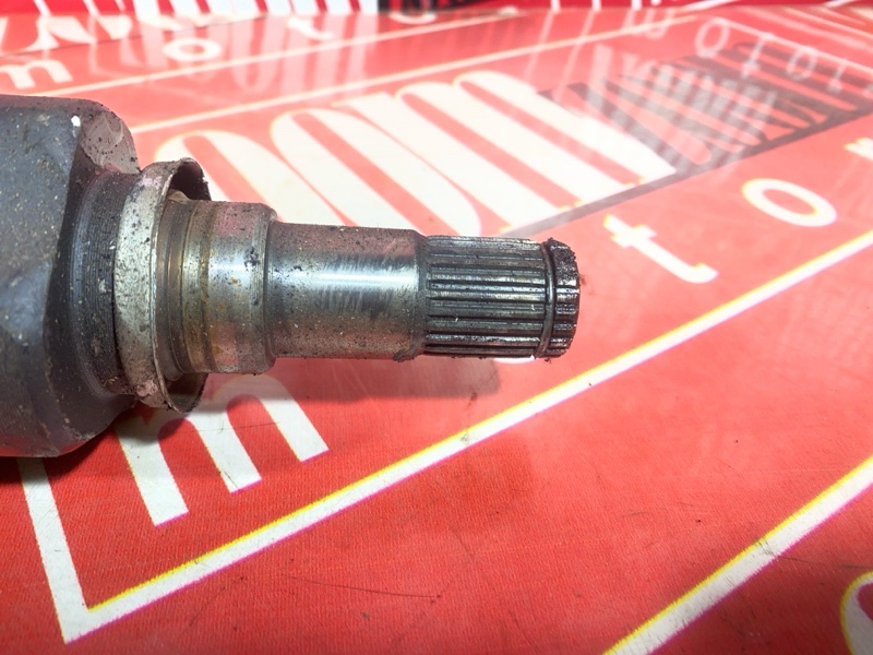 Привод, 2300 рублей, Солонцы