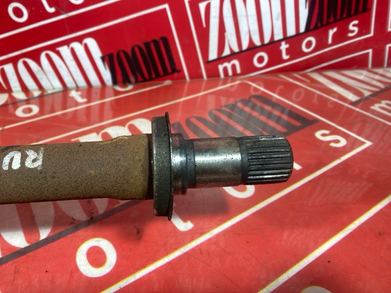 Привод, 12000 рублей, Солонцы