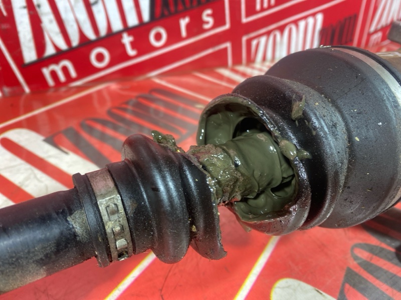 Привод, 12000 рублей, Солонцы