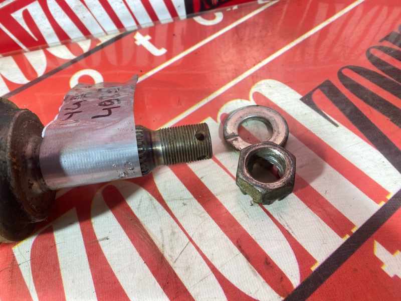 Привод, 1900 рублей, Солонцы