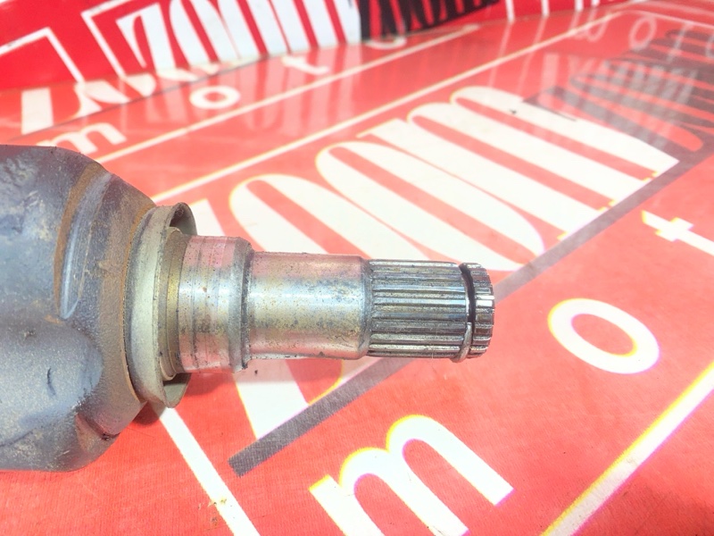 Привод, 1800 рублей, Солонцы