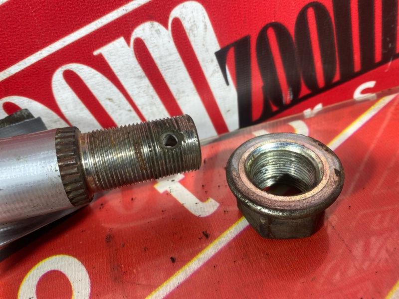 Привод, 2500 рублей, Солонцы