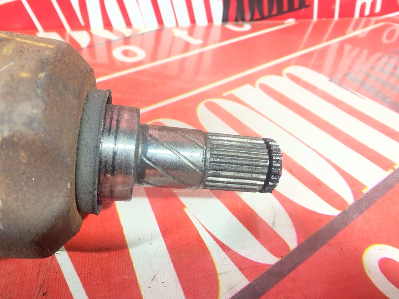 Привод, 5000 рублей, Солонцы