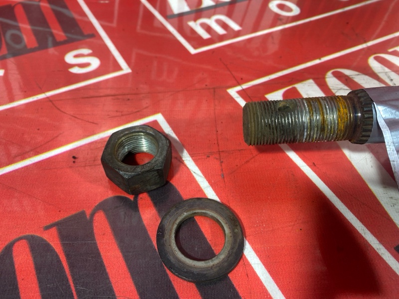 Привод, 5000 рублей, Солонцы