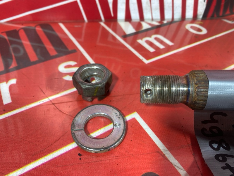 Привод, 3500 рублей, Солонцы