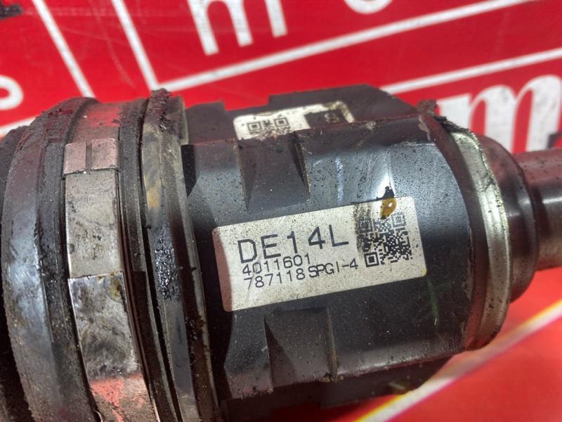 Привод, 5000 рублей, Солонцы