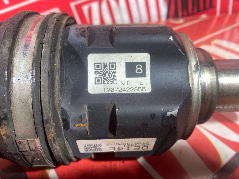 Привод, 5000 рублей, Солонцы