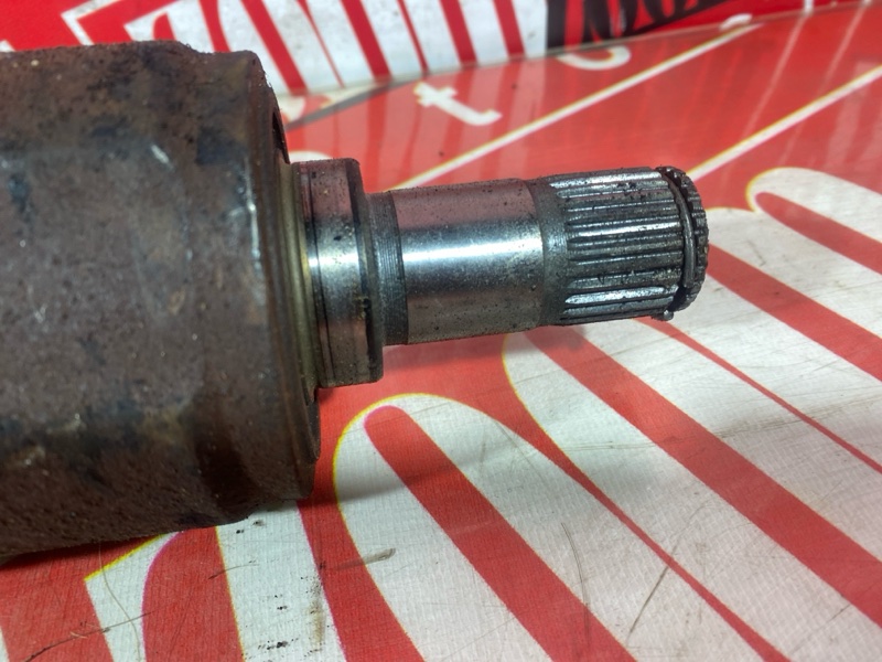 Привод, 2800 рублей, Солонцы