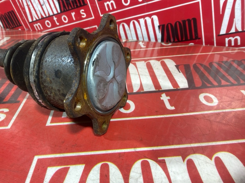 Привод, 8000 рублей, Солонцы